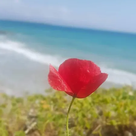 Annezina's Memories *